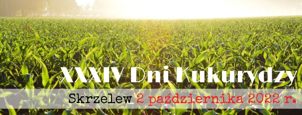 Dni Kukurydzy 2022